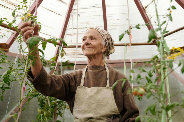 The Importance of Senior Nutrition